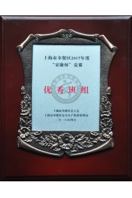 Excellent Team Award