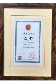 Safety Standard Award